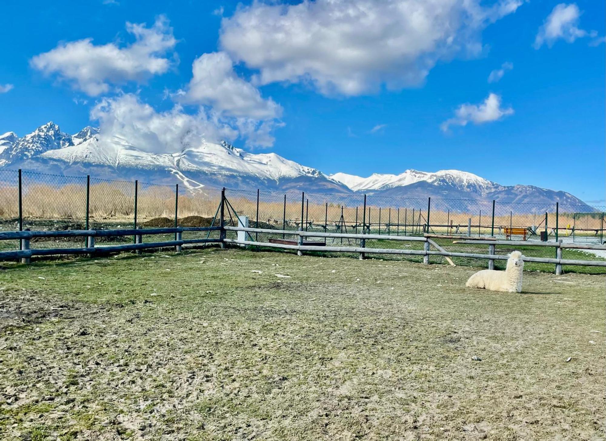 Apartment Jenny- Stunning View Of High Tatras فيلكا لومنيكا المظهر الخارجي الصورة